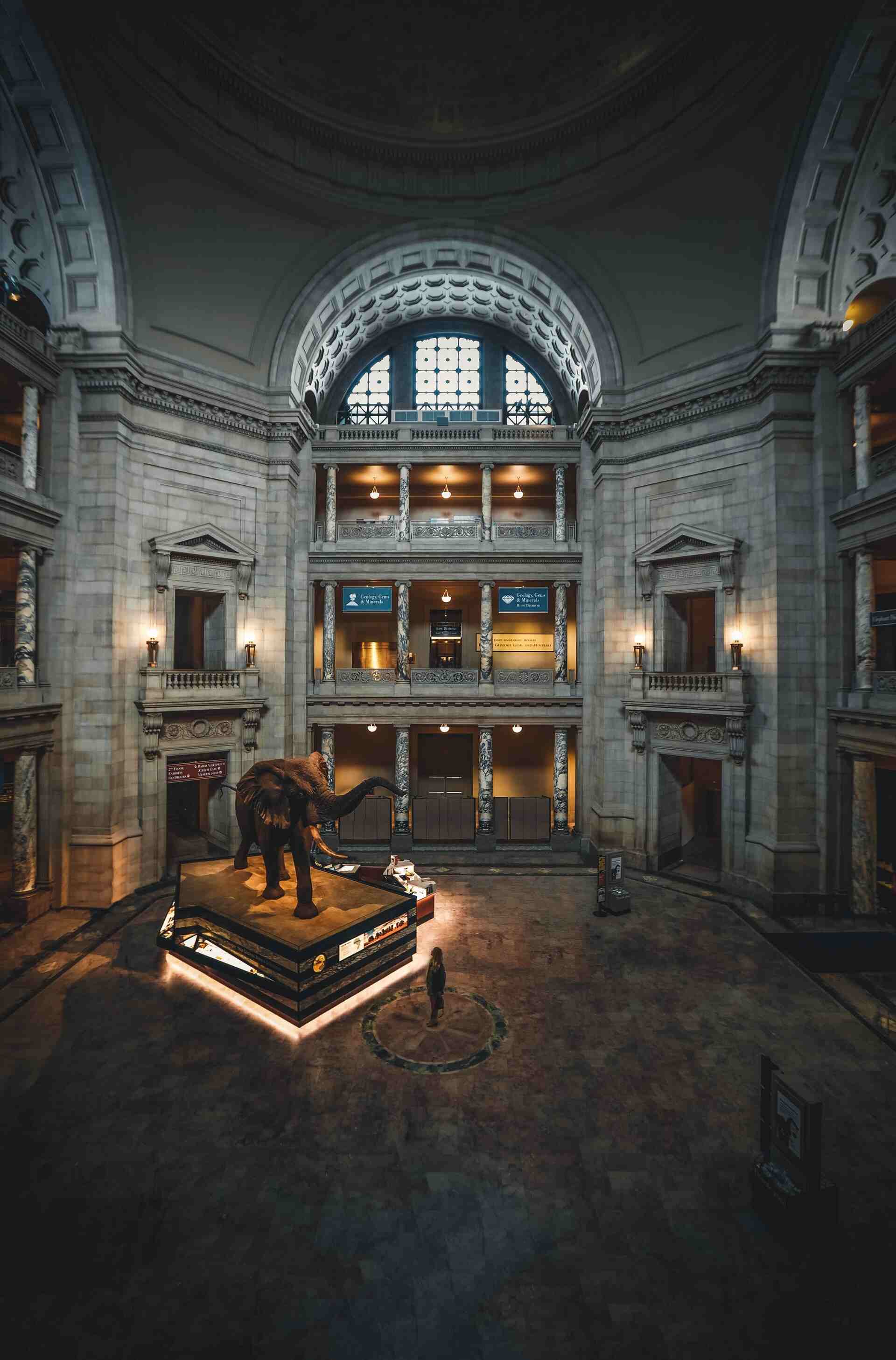 Museum 1