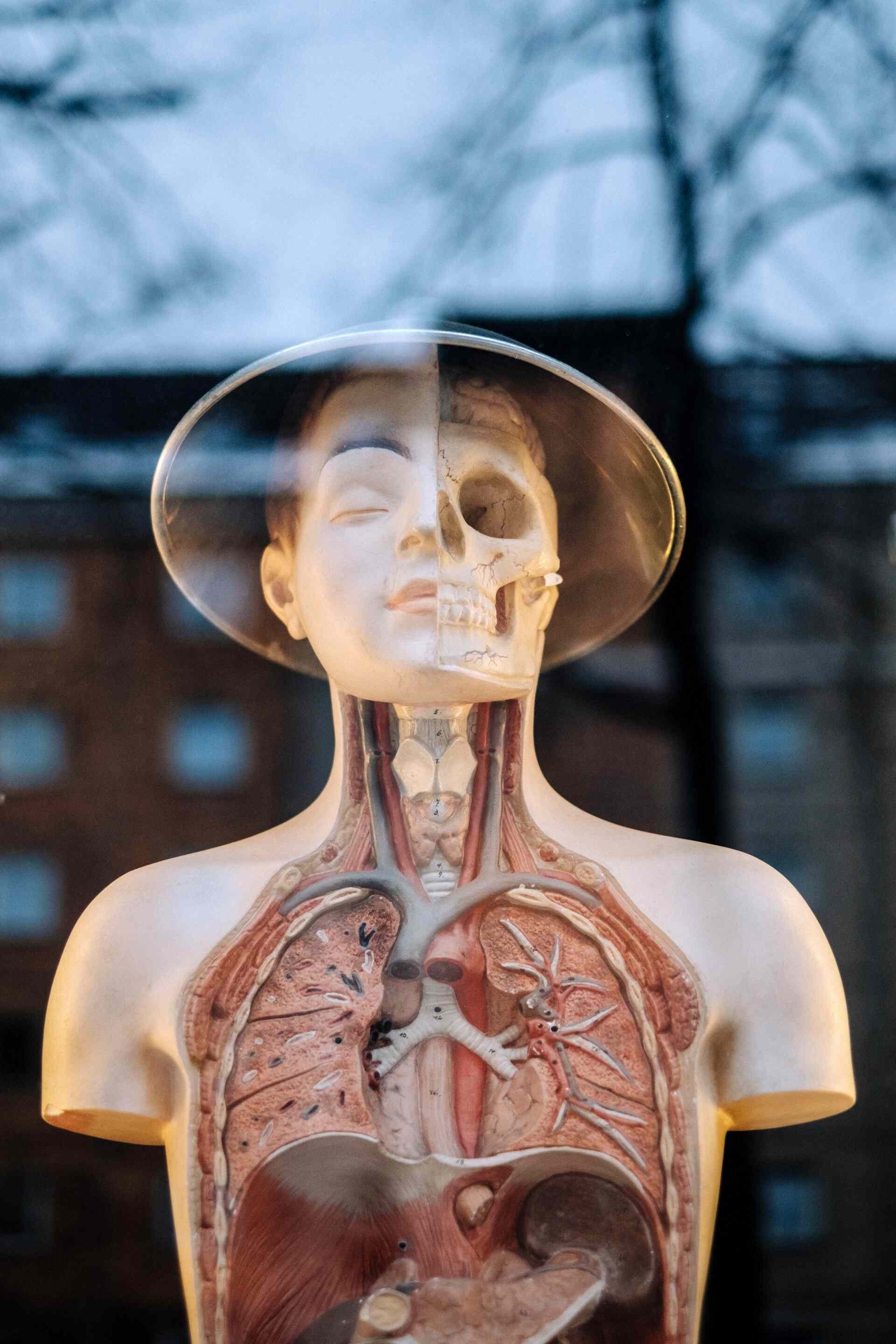 Explore image-Human